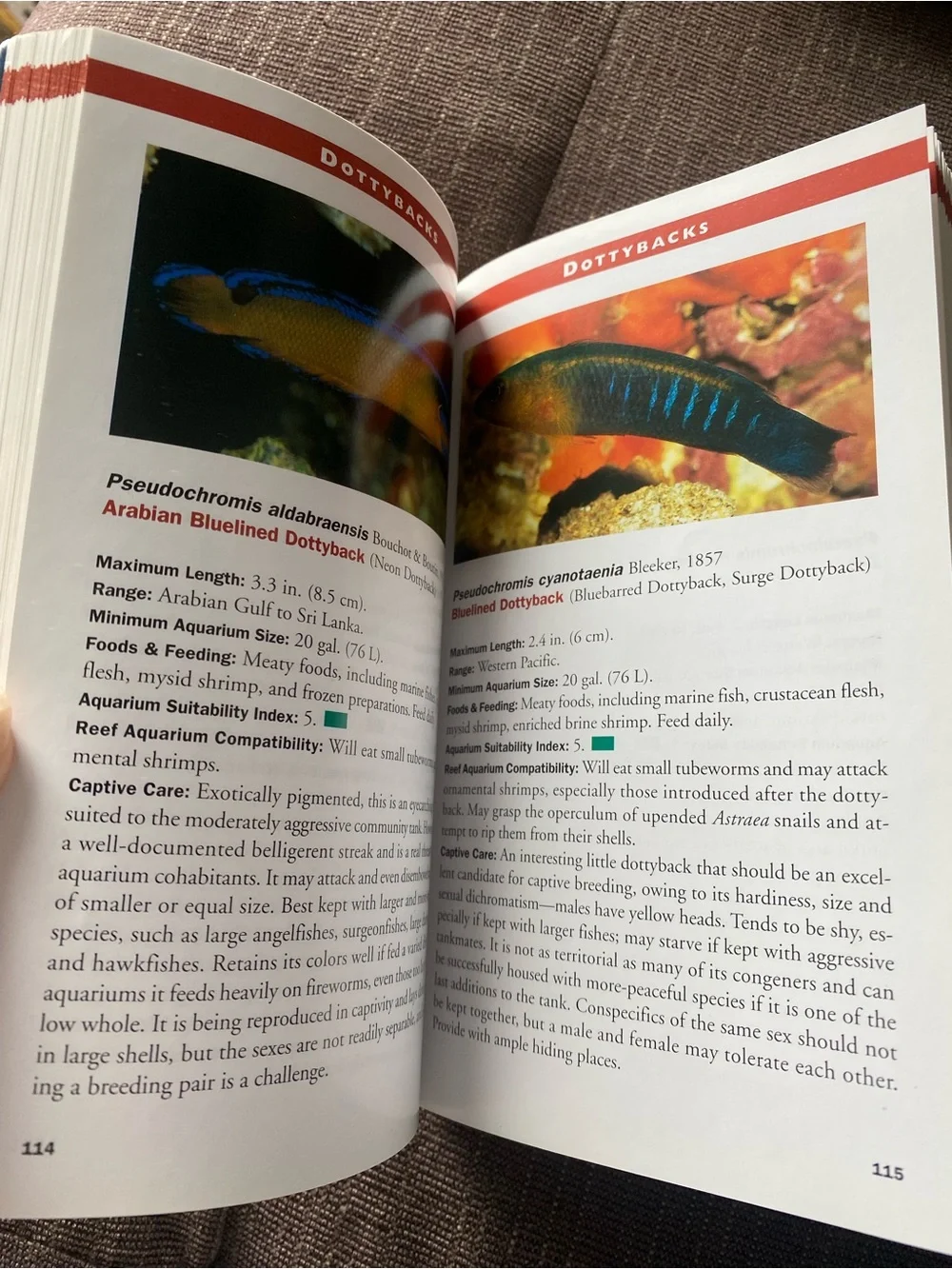 Marine Fishes by Scott W. Michael